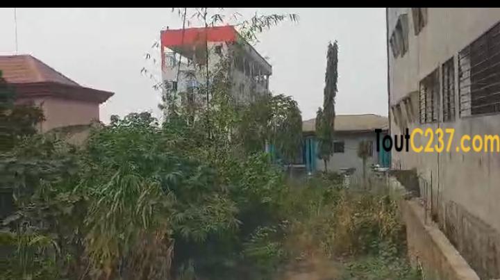 Terrain à vendre à Logbessou, Douala