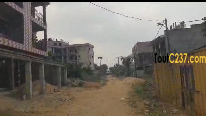 Terrain à vendre à Logbessou, Douala