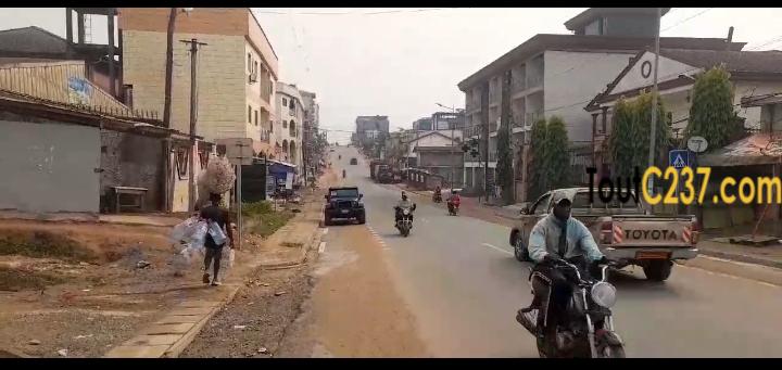 Tres bon terrain à vendre à Logpom Rayon vert, Douala