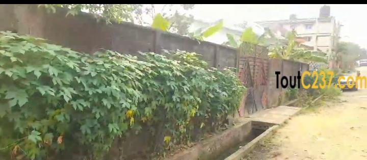 Tres bon terrain à vendre à Logpom Rayon vert, Douala