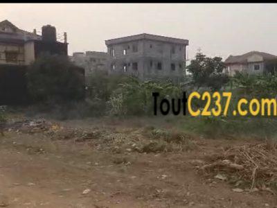 Très bon terrain à vendre à Logpom, Douala