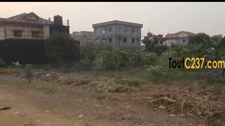 Très bon terrain à vendre à Logpom, Douala