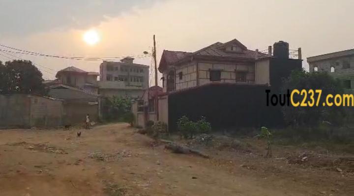 Très bon terrain à vendre à Logpom, Douala