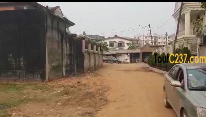 Très bon terrain à vendre à Logpom, Douala