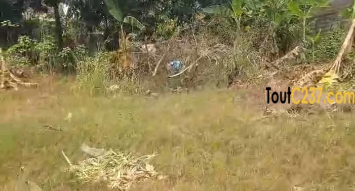Tres bon terrain résidentiel à vendre à Logpom, Douala