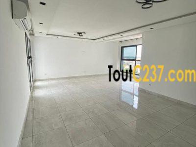 Appartement haut standing à louer à Bonapriso Douala