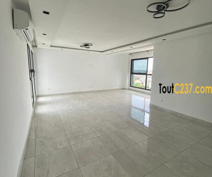 Appartement haut standing à louer à Bonapriso Douala