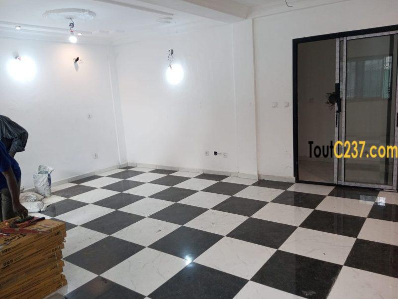 Appartement à louer à Bonapriso Douala