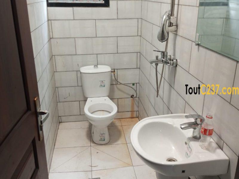 Appartement à louer à Bonapriso Douala