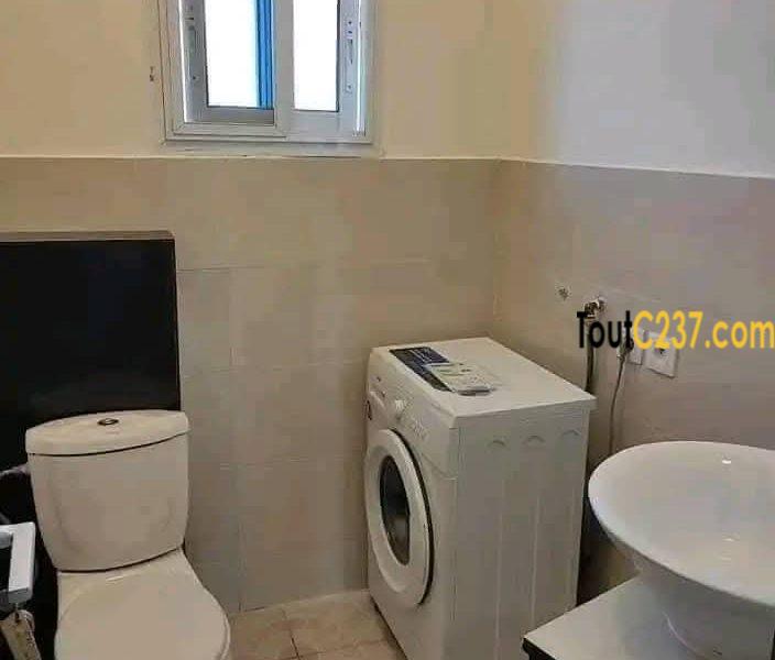 Appartement à louer à Bonapriso Douala