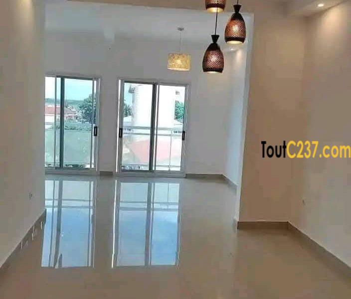 Appartement à louer à Bonapriso Douala