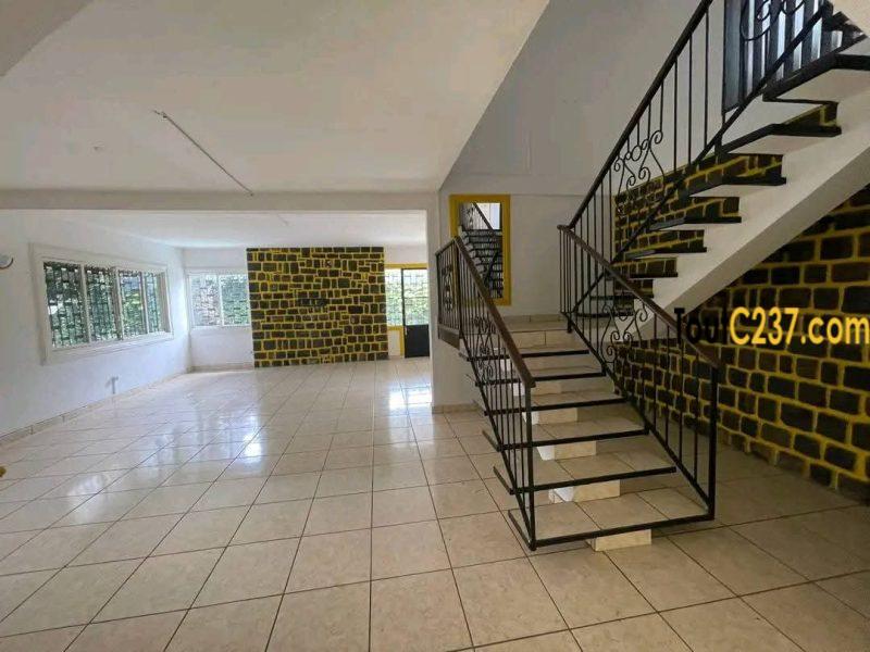 Magnifique et vaste #duplex à louer #bonapriso