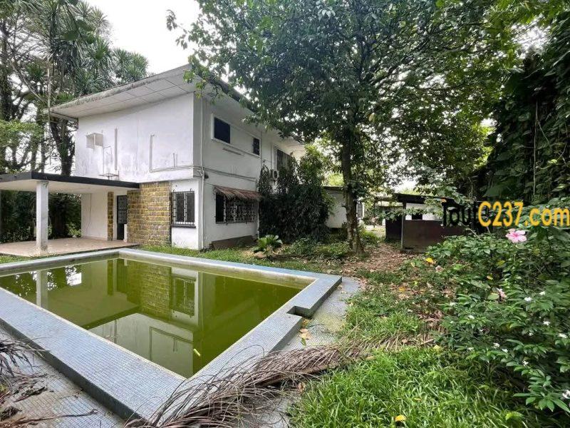 Magnifique et vaste #duplex à louer #bonapriso