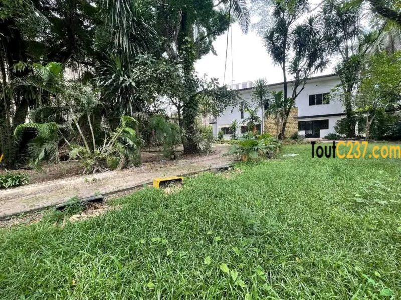 Magnifique et vaste #duplex à louer #bonapriso