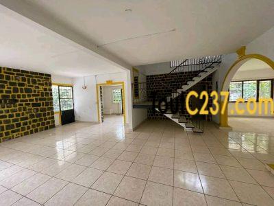 Magnifique et vaste #duplex à louer #bonapriso