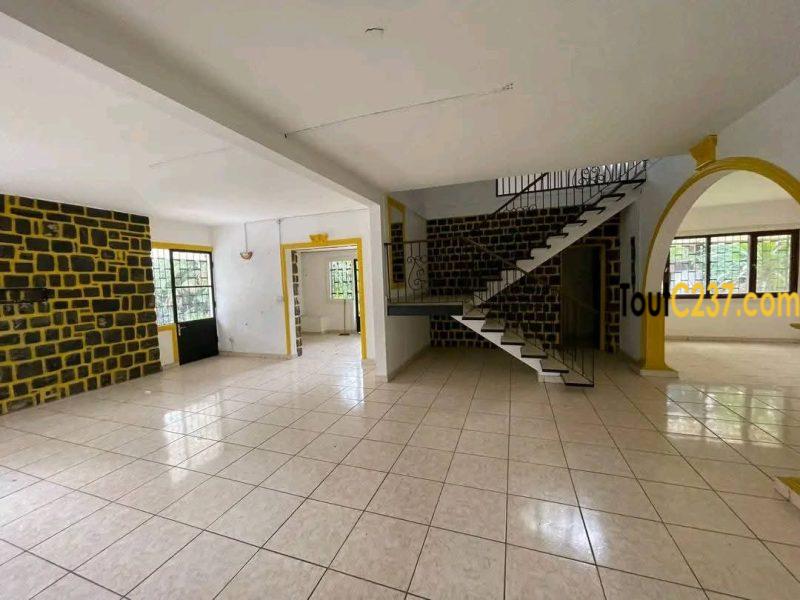 Magnifique et vaste #duplex à louer #bonapriso