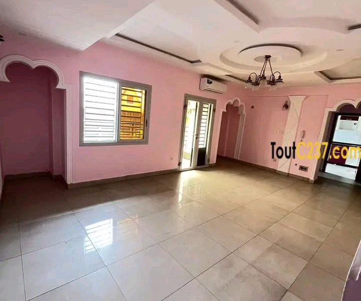 Magnifique appartement à louer à bonapriso