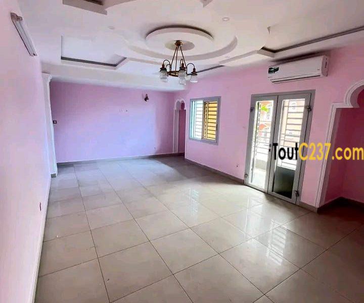 Magnifique appartement à louer à bonapriso