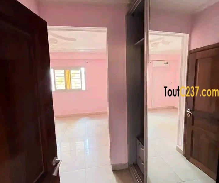 Magnifique appartement à louer à bonapriso