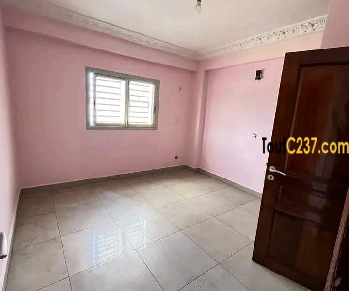 Magnifique appartement à louer à bonapriso