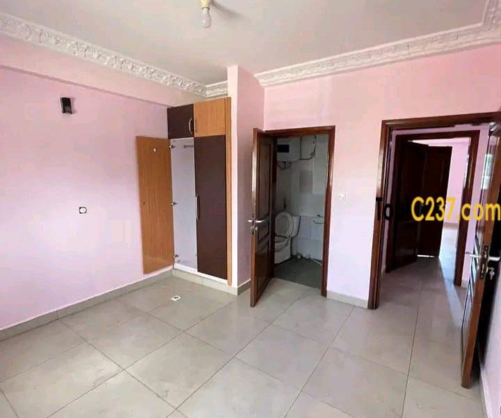 Magnifique appartement à louer à bonapriso