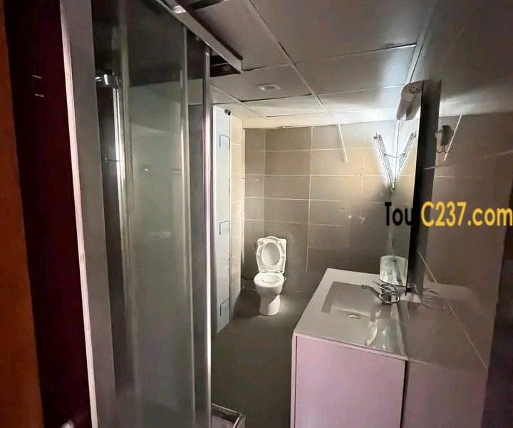 Magnifique appartement à louer à bonapriso