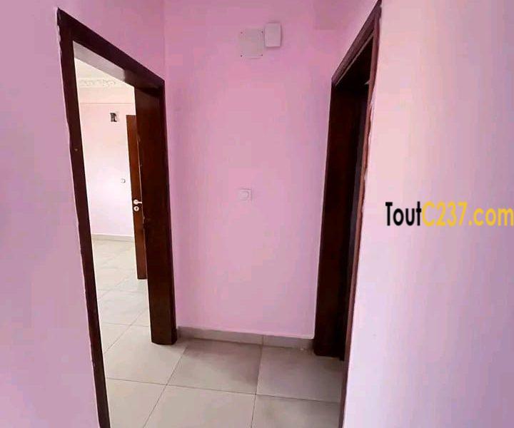 Magnifique appartement à louer à bonapriso