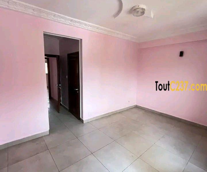 Magnifique appartement à louer à bonapriso