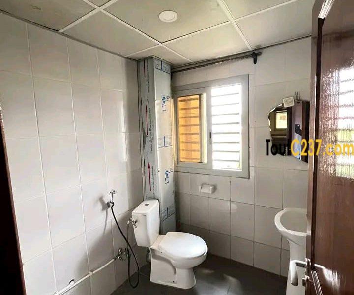 Magnifique appartement à louer à bonapriso