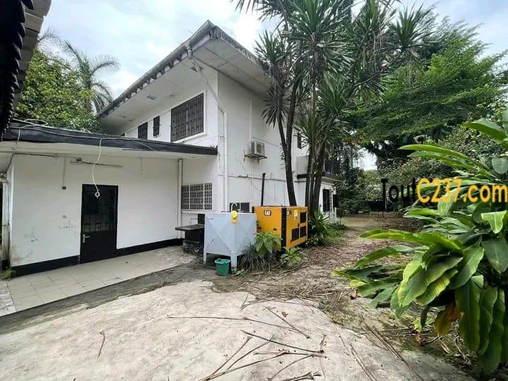 Duplex a louer à bonapriso