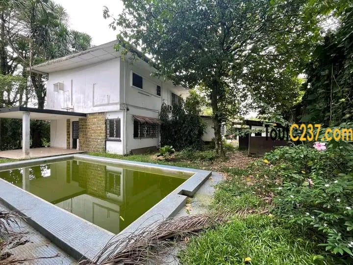 Duplex a louer à bonapriso