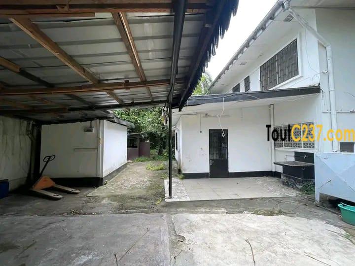 Duplex a louer à bonapriso