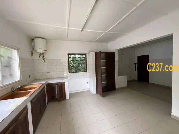 Duplex a louer à bonapriso