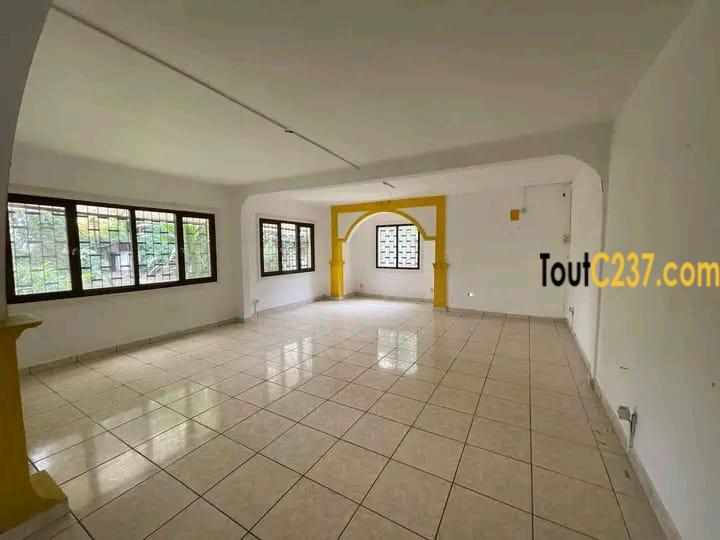 Duplex a louer à bonapriso