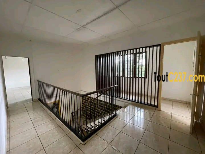 Duplex a louer à bonapriso