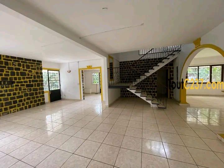 Duplex a louer à bonapriso