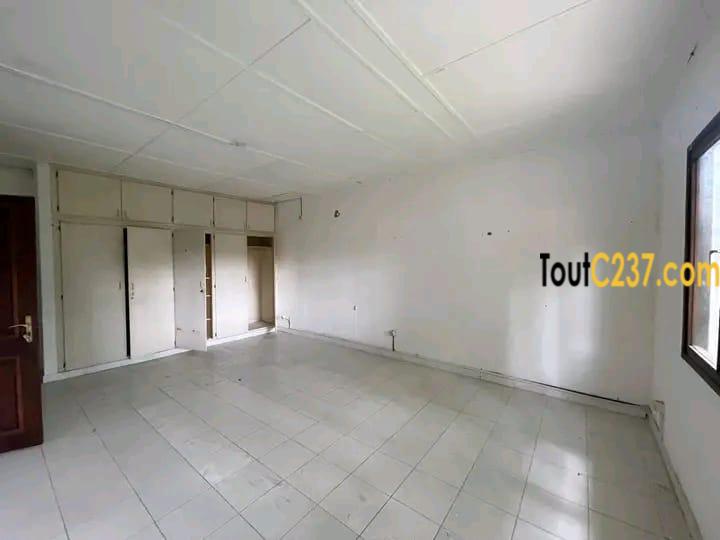 Duplex a louer à bonapriso