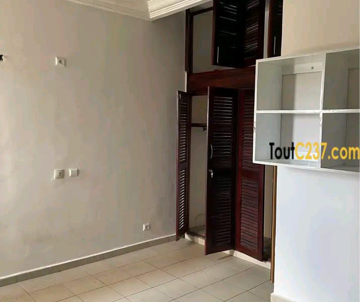 Appartement a louer en plein cœur de bonamoussadi carrefour ippb