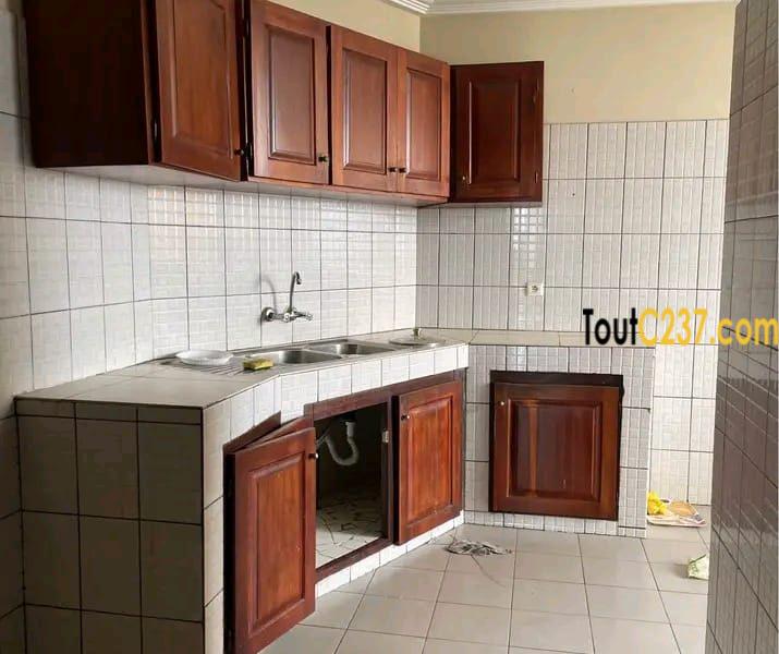 Appartement a louer en plein cœur de bonamoussadi carrefour ippb