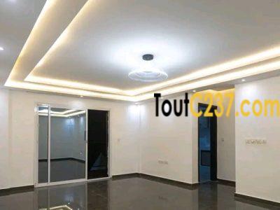 De beaux appartements et studios à louer à Beedi à votre disposition dans confort insolent