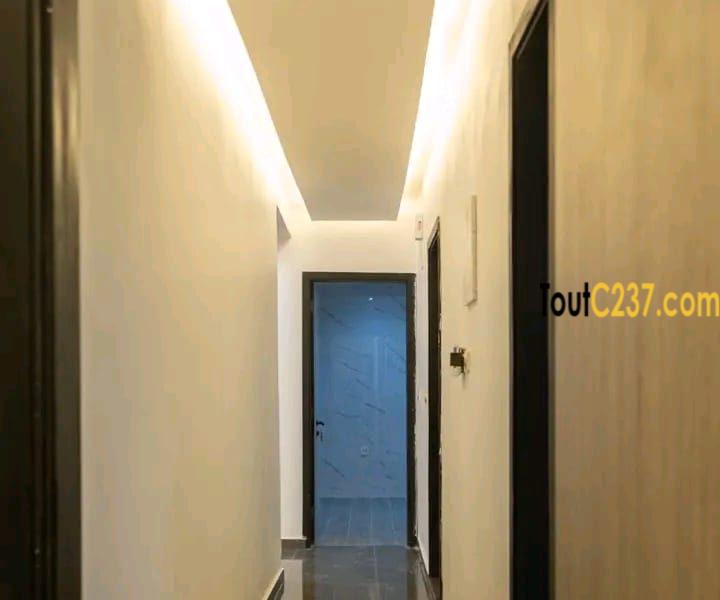 De beaux appartements et studios à louer à Beedi à votre disposition dans confort insolent