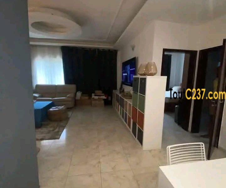 Studio haut standing à louer à bonapriso