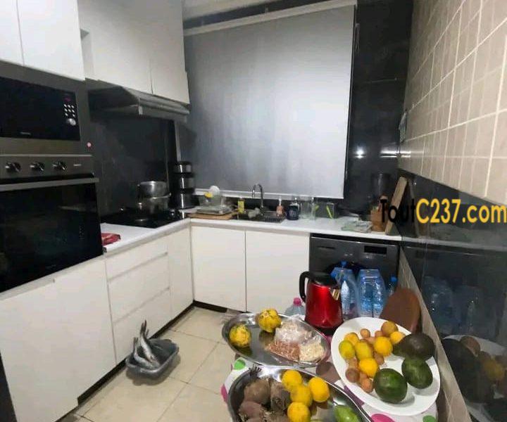 Studio haut standing à louer à bonapriso