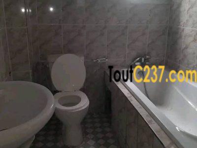 Magnifique #appartement à louer à bonapriso en bordure de route