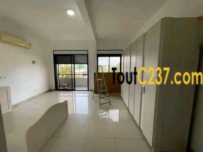 #appartement haut standing à louer à #bonapriso