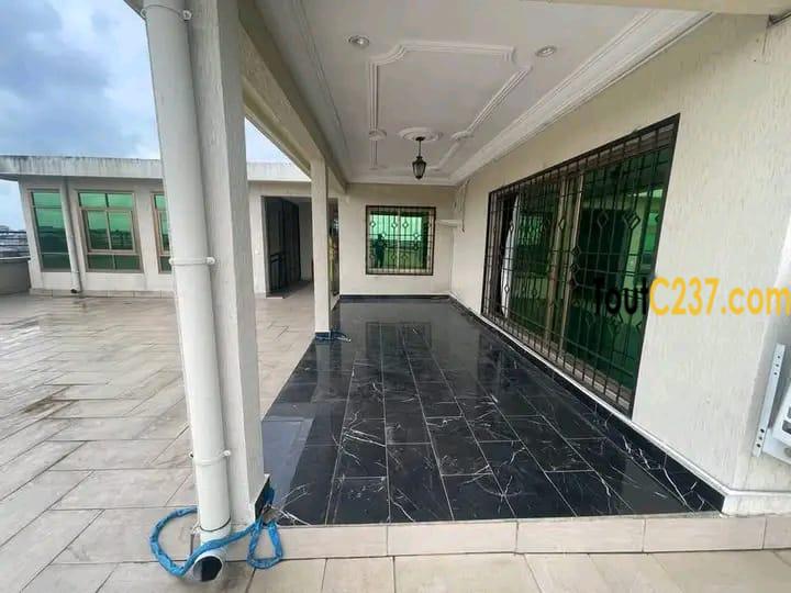 #appartement disponible à #bonamoussadi