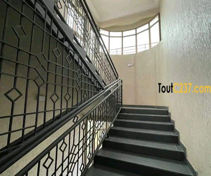 #appartement disponible à #bonamoussadi