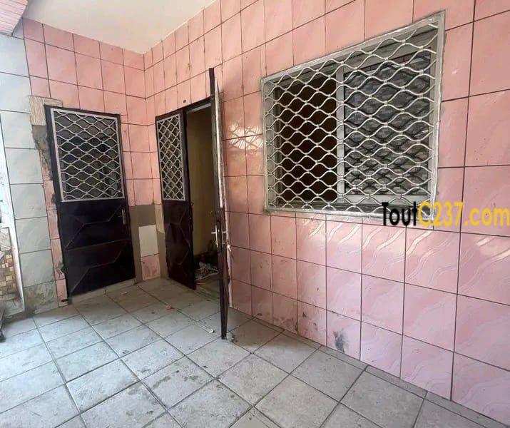 #appartement disponible à #bonamoussadi