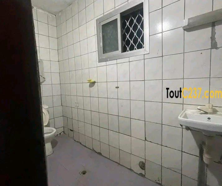 #appartement disponible à #bonamoussadi