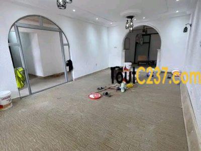 *Villa à louer disponible idéal pour habitation ou commercial situé à bonamoussadi à 10m du goudron